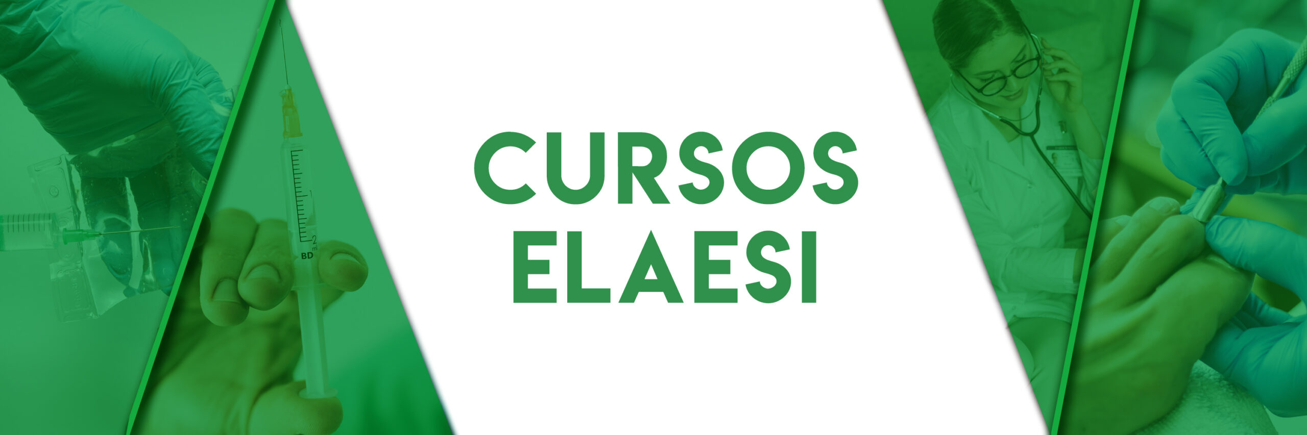 Cursos ELAESI