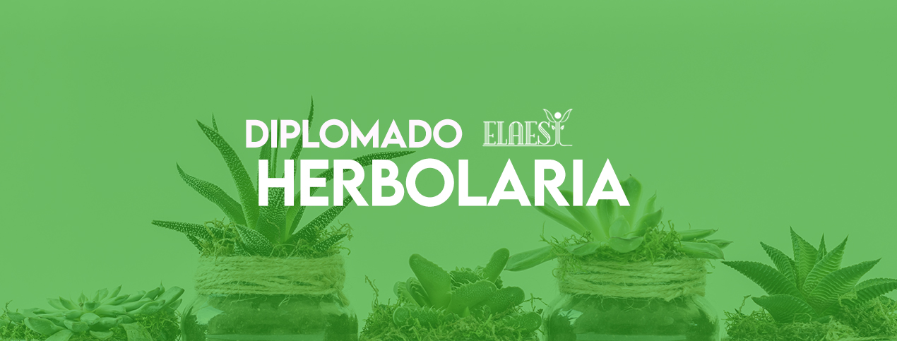 Diplomado De Herbolaria Cuernavaca