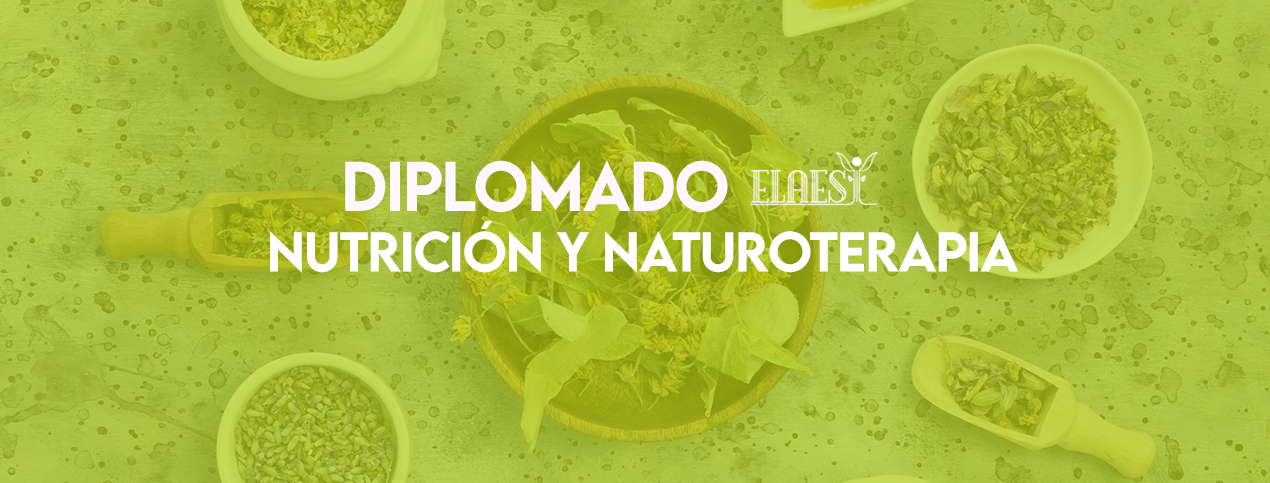 Diplomado De Nutrición Y Naturoterapia Cuernavaca