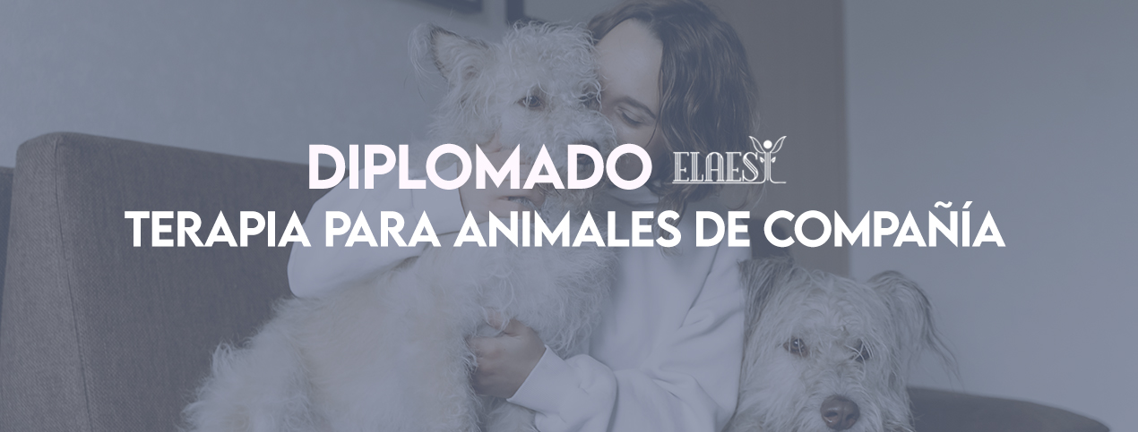 Diplomado De Terapia Para Animales De Compañía Cuernavaca