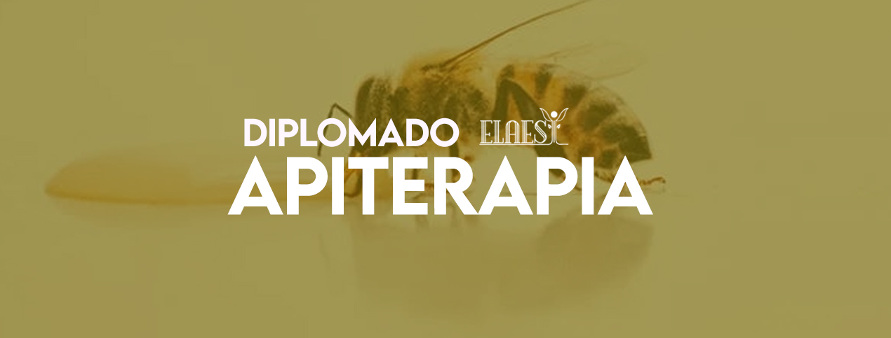 Diplomado De Apiterapia