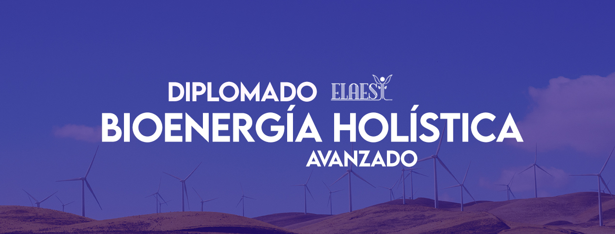 Diplomado De Bioenergía Holística Cuernavaca