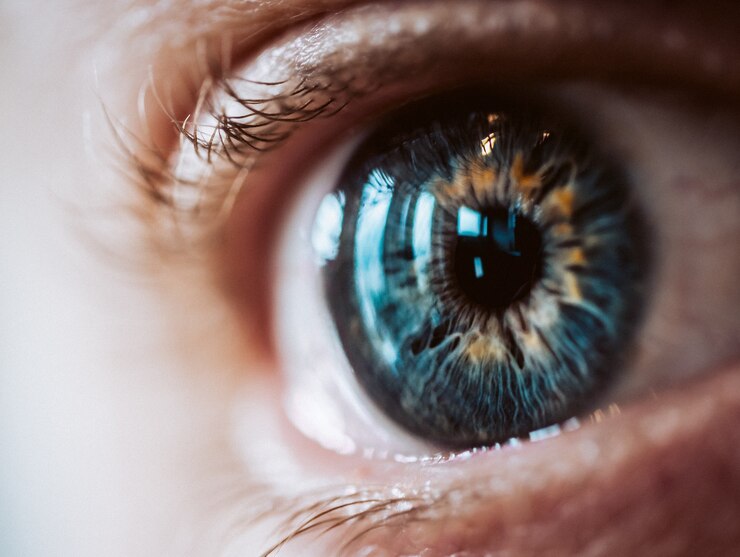 Descifrando el Iris Ocular: Clasificación y Significado