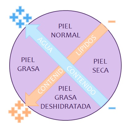 Los diferentes de piel en