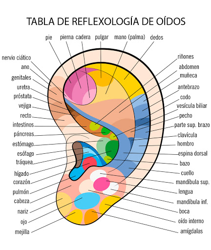 auriculoterapia