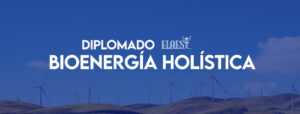 Diplomado en Bioenergia Holistica