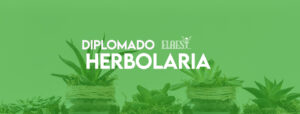 Diplomado en Herbolaria