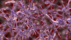 tERAPIA NEURAL