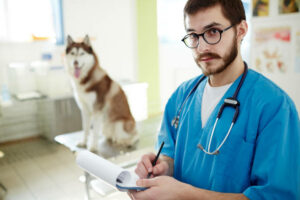 diplomado de acupuntura veterinaria cdmx