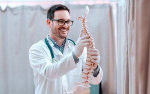 columna vertebral en quiropractica