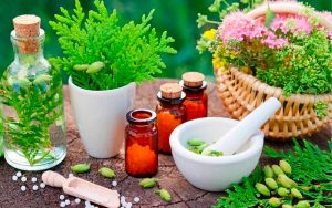 recetas herbolaria cdmx