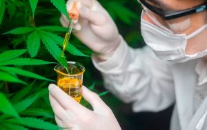 que es la medicina cannábica y para que sirve