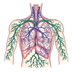 Imagen recuperada de freepik