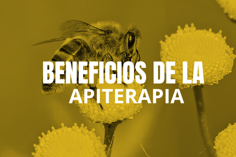 "alt(apiterapia)"
