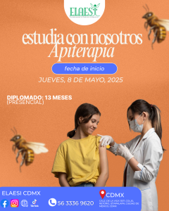 PAUTADO MARZO 2 (4)
