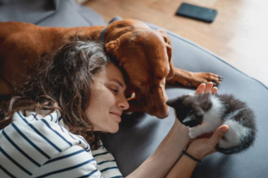 alt"terapia-para-los-animales"