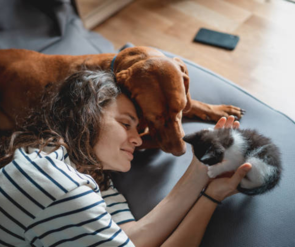 alt"salud-integral-de- nuestras-mascotas"